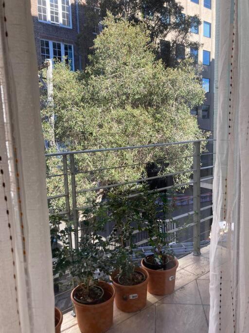Newly Renovated Studio سيدني المظهر الخارجي الصورة